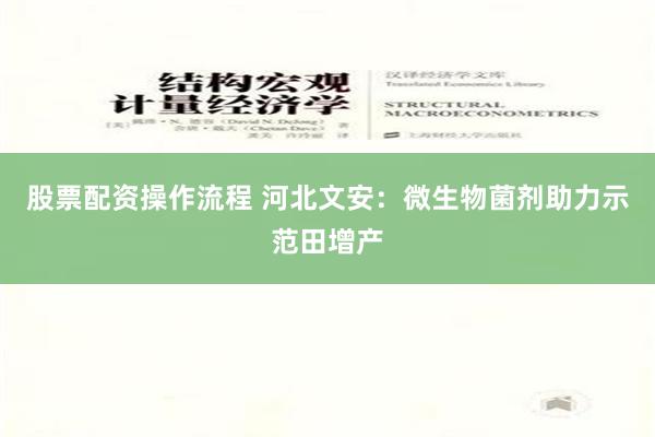 股票配资操作流程 河北文安：微生物菌剂助力示范田增产