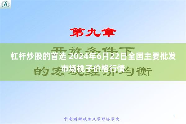 杠杆炒股的首选 2024年6月22日全国主要批发市场桃子价格行情