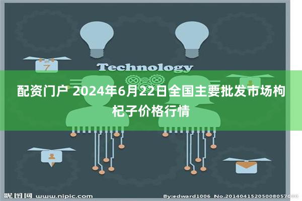 配资门户 2024年6月22日全国主要批发市场枸杞子价格行情