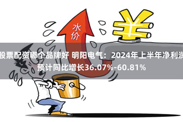 股票配资哪个品牌好 明阳电气：2024年上半年净利润预计同比增长36.07%-60.81%