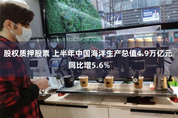 股权质押股票 上半年中国海洋生产总值4.9万亿元 同比增5.6%