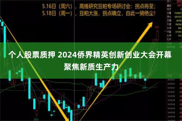 个人股票质押 2024侨界精英创新创业大会开幕 聚焦新质生产力