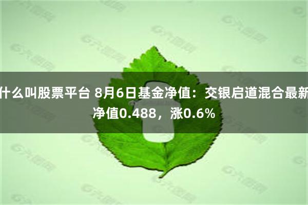 什么叫股票平台 8月6日基金净值：交银启道混合最新净值0.488，涨0.6%