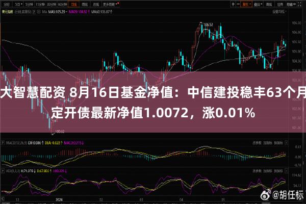 大智慧配资 8月16日基金净值：中信建投稳丰63个月定开债最新净值1.0072，涨0.01%