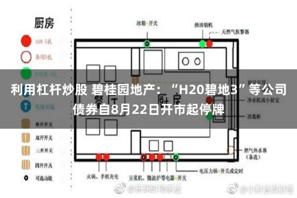 利用杠杆炒股 碧桂园地产：“H20碧地3”等公司债券自8月22日开市起停牌