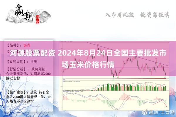 河源股票配资 2024年8月24日全国主要批发市场玉米价格行情