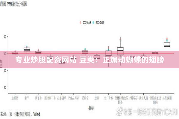 专业炒股配资网站 豆类：正煽动蝴蝶的翅膀