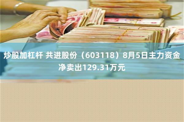 炒股加杠杆 共进股份（603118）8月5日主力资金净卖出129.31万元