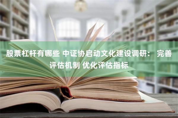 股票杠杆有哪些 中证协启动文化建设调研： 完善评估机制 优化评估指标