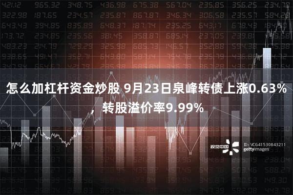 怎么加杠杆资金炒股 9月23日泉峰转债上涨0.63%，转股溢价率9.99%