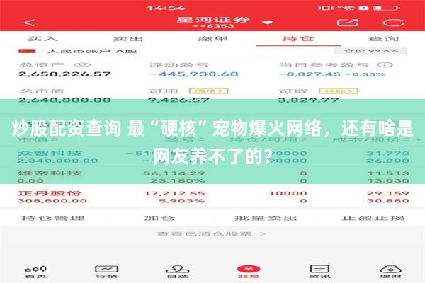 炒股配资查询 最“硬核”宠物爆火网络，还有啥是网友养不了的？