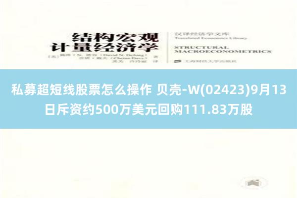 私募超短线股票怎么操作 贝壳-W(02423)9月13日斥资约500万美元回购111.83万股