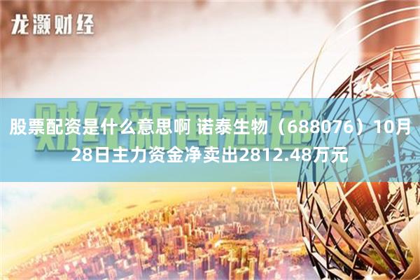 股票配资是什么意思啊 诺泰生物（688076）10月28日主力资金净卖出2812.48万元