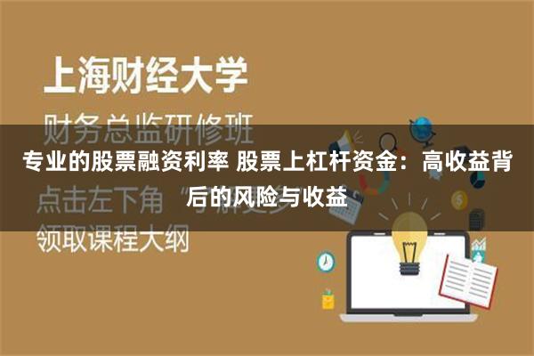 专业的股票融资利率 股票上杠杆资金：高收益背后的风险与收益