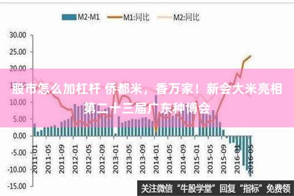 股市怎么加杠杆 侨都米，香万家！新会大米亮相第二十三届广东种博会