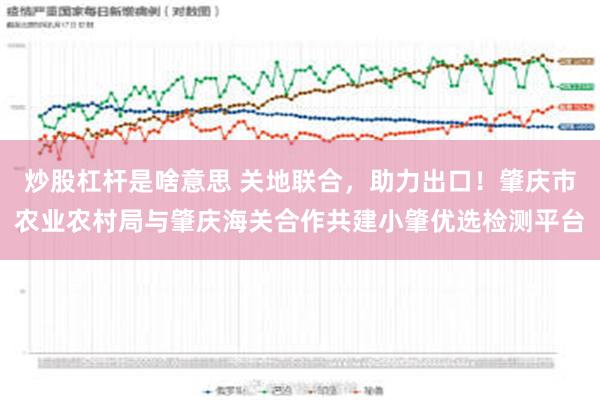 炒股杠杆是啥意思 关地联合，助力出口！肇庆市农业农村局与肇庆海关合作共建小肇优选检测平台