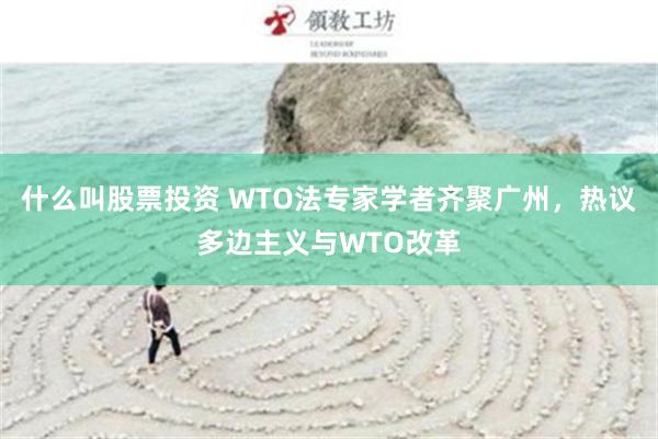 什么叫股票投资 WTO法专家学者齐聚广州，热议多边主义与WTO改革