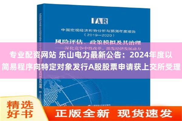 专业配资网站 乐山电力最新公告：2024年度以简易程序向特定对象发行A股股票申请获上交所受理