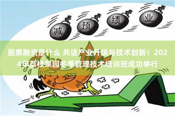 股票融资是什么 共话产业升级与技术创新！2024年荔枝果园冬季管理技术培训班成功举行