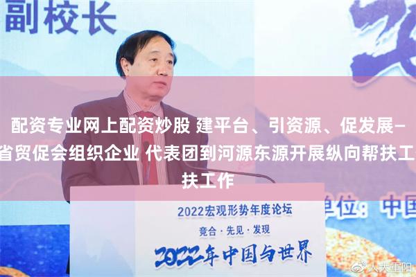 配资专业网上配资炒股 建平台、引资源、促发展——省贸促会组织企业 代表团到河源东源开展纵向帮扶工作