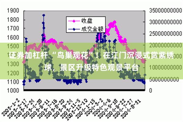 证券加杠杆 “鸟巢观花”！在江门沉浸式赏紫绣球，景区升级特色观景平台