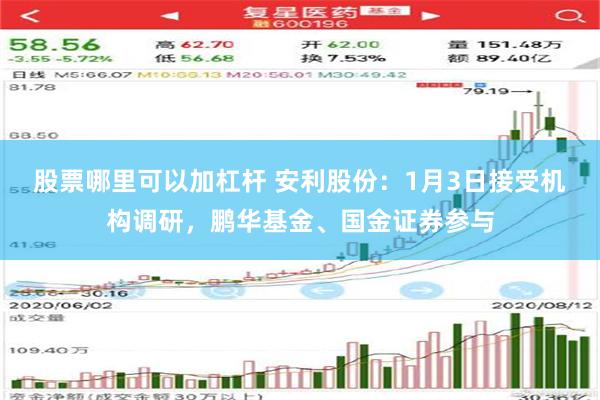 股票哪里可以加杠杆 安利股份：1月3日接受机构调研，鹏华基金、国金证券参与