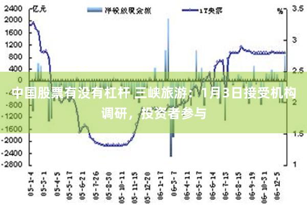 中国股票有没有杠杆 三峡旅游：1月3日接受机构调研，投资者参与