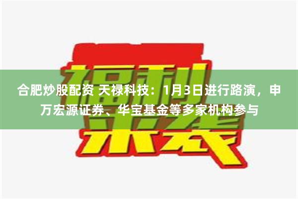 合肥炒股配资 天禄科技：1月3日进行路演，申万宏源证券、华宝基金等多家机构参与