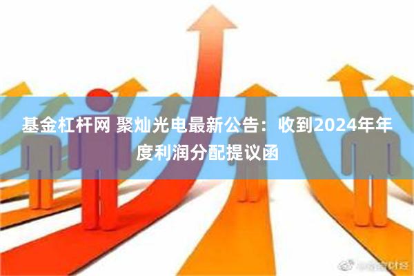 基金杠杆网 聚灿光电最新公告：收到2024年年度利润分配提议函